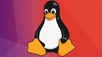 مايكروسوفت تحذر: تصاعد هجمات Xorddos على أجهزة Linux!