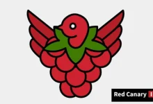تحذير من "Raspberry Robin": فيروس خطير ينتشر عبر الأقراص الخارجية
