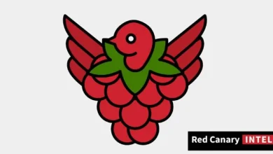 تحذير من "Raspberry Robin": فيروس خطير ينتشر عبر الأقراص الخارجية