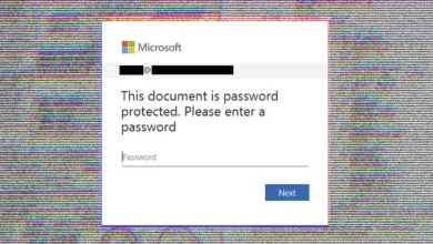 password phishing