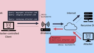 dns security