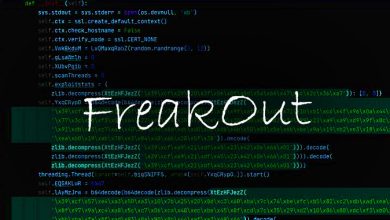 "فريت! هجوم Botnet يستغل ثغرات لينكس الحديثة"