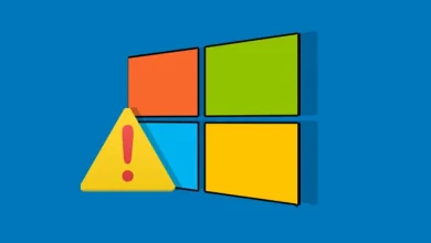 Google تكشف عن ثغرة Windows Zero-Day مستغلة في البرية