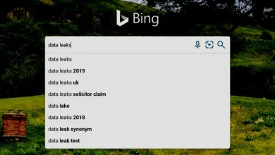 تسريب بيانات بحث وموقع المستخدمين من خادم Bing