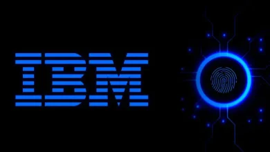 باحث يكشف عن 4 ثغرات يوم صفر في برنامج أمان IBM المؤسسي
