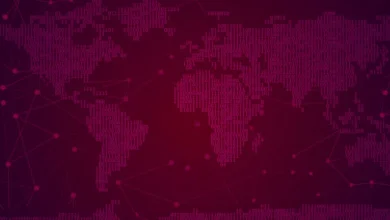 استغلال ثغرات يوم الصفر في أجهزة Lilin DVR لهجمات DDoS
